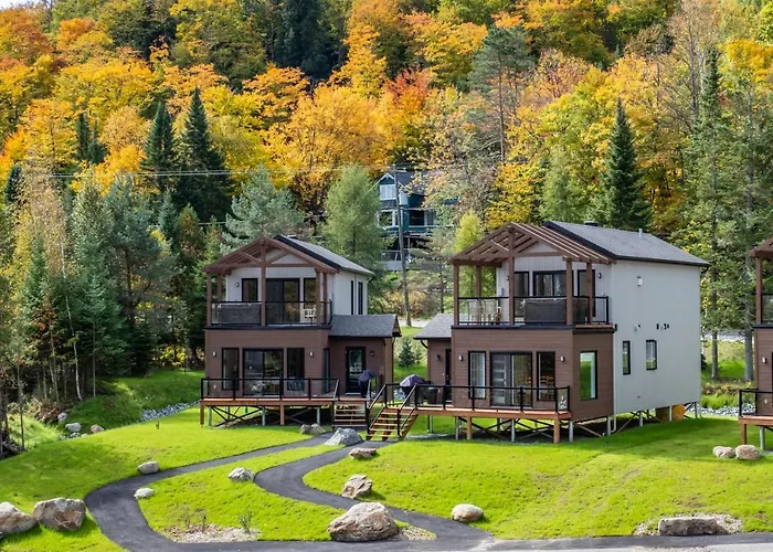 Les Chalets Sauvignon